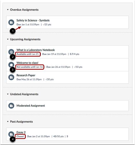 Assignments Overview: Canvas Student Orientation and Training