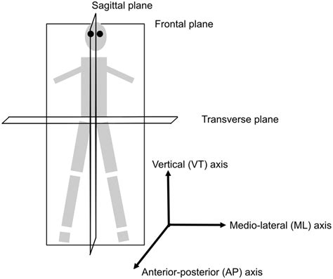 Axes of rotation and anatomical planes. The frontal plane (coronal... | Download Scientific Diagram