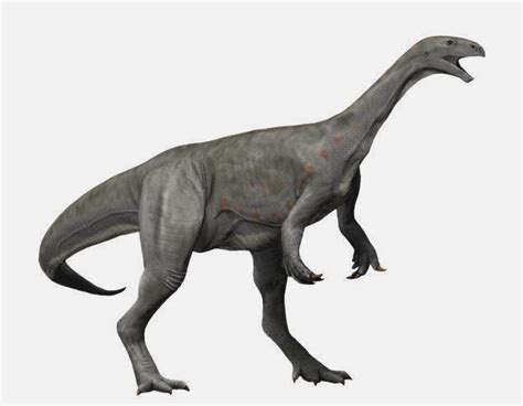 Triassic Dinosaurs List with Pictures & Facts: Triassic Period Dinos