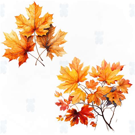 Watercolor Fall Leaves Clipart Instant Download Transparent PNG Format Clipart for Commercial ...