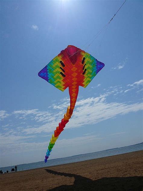 Large Kites - You Mean Big Or Positively Gigantic?