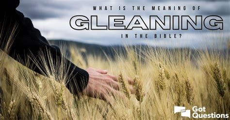 What is the meaning of gleaning in the Bible? | GotQuestions.org