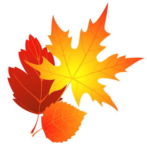 Free Fall Leaf Transparent Background, Download Free Fall Leaf Transparent Background png images ...