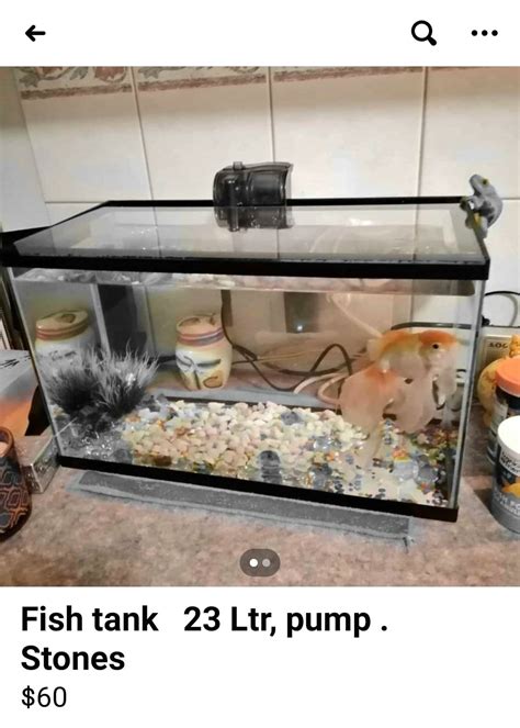 6 gallon tank.. selling it without the fish, lord knows what happened to it. : r/shittyaquariums