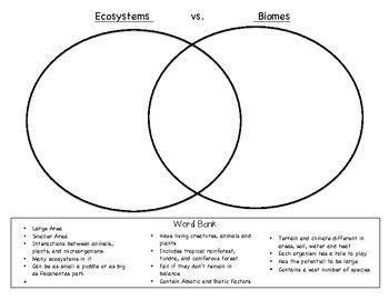 Ecosystem vs. Biome Venn Diagram | Biology worksheet, Venn diagram, Learning template