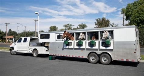 5 Tips for Buying a Horse Trailer - Crossroads Trailer Sales Blog