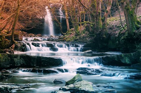 forest, Waterfall, River, Landscape Wallpapers HD / Desktop and Mobile Backgrounds