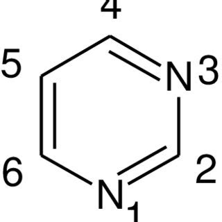 General structure of Pyrimidine | Download Scientific Diagram