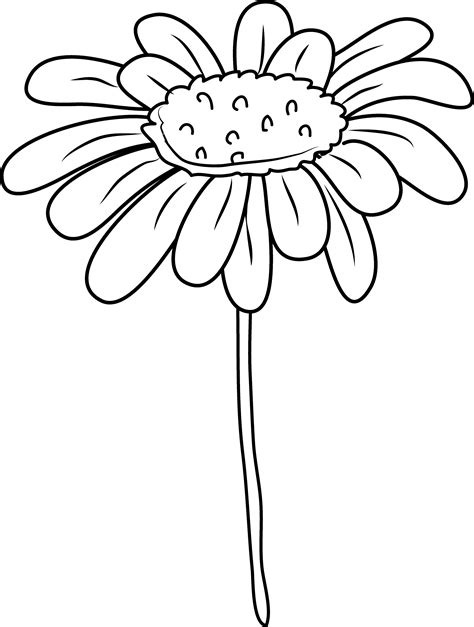 Daisy Flower Coloring Page - Free Clip Art