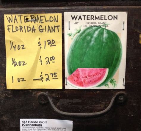 Florida Giant Watermelon – Stone Brothers