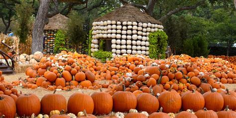 22 Fall Harvest Festivals Across America - Fall Travel Ideas