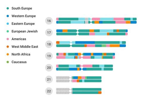 Autosomal DNA Test Results: Using Ethnicity Estimates to Generate ...