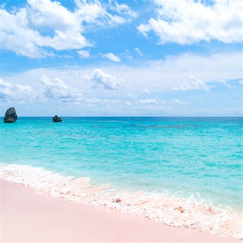 Bermuda Pink Sand Beaches | Bermuda travel, Pink sand beach, Bermuda pink sand