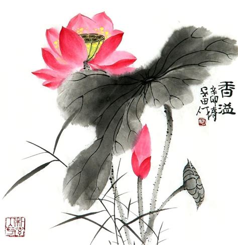 Chinese Lotus Painting Lotus 2388041, 33cm x 33cm(13〃 x 13〃)