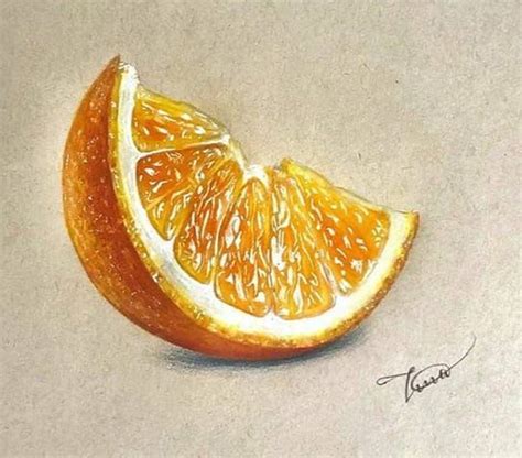 Realistic orange slice(not mine) | Color pencil drawing, Realistic drawings, Colored pencil artwork