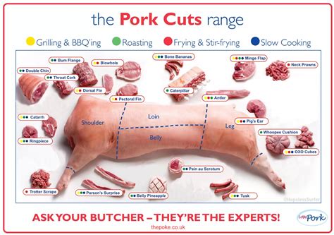 Printable Pork Cuts Chart - Printable Word Searches