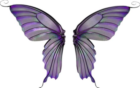 Purple Fairy Wings Transparent Png