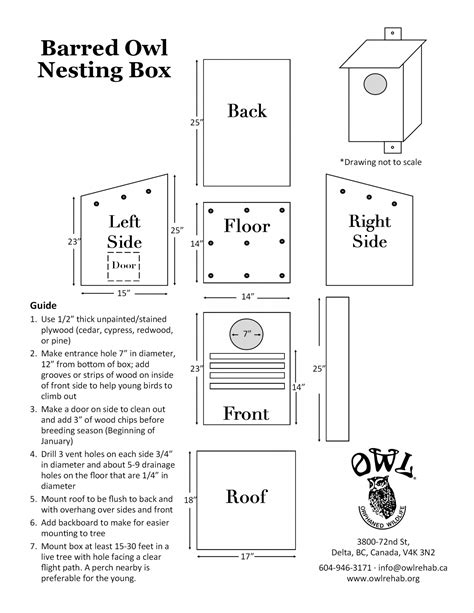 Habitat Loss / Owl Nesting Boxes – OWL Rehab