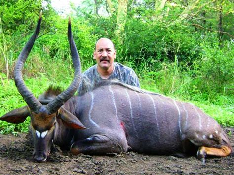 Trophy Nyala Hunting, Malawi | Hunting