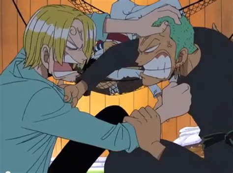 Sanji and Zoro fight by JasonPictures on DeviantArt