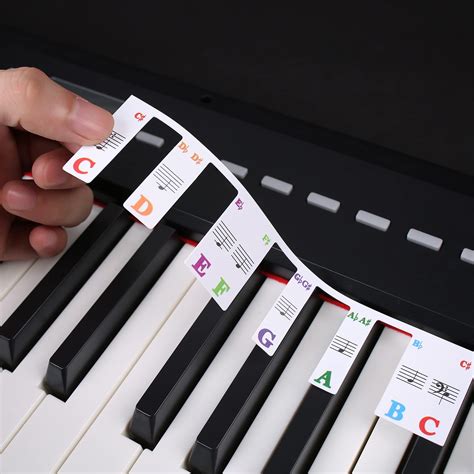 Buy Removable Piano Keyboard Note Labels, Piano Key Labels, Piano ...