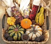 Fall Harvest Free Stock Photo - Public Domain Pictures