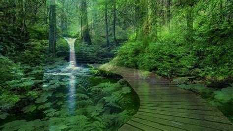 Peaceful wallpaper wallpapers for free download about | Waterfall scenery, Scenery wallpaper ...