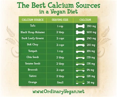 Calcium Rich Foods In A Plant-Based Diet