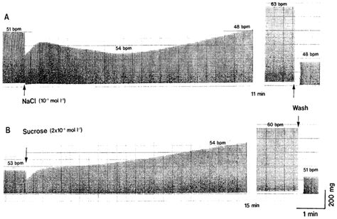 Effects of hyperosmotic Ringer solution on the atrial beating. A.... | Download Scientific Diagram