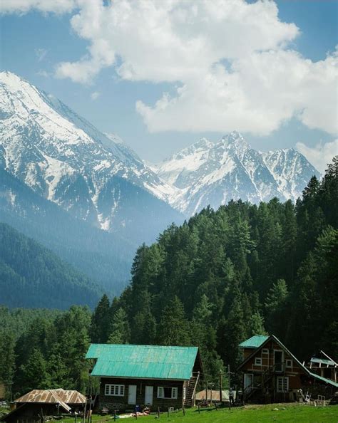 Valley in Kashmir, India : r/MostBeautiful