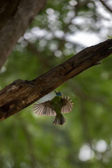 Returning to India and The Rajbari Bawali - STACIE FLINNER