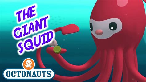 The Giant Squid Octonauts Wiki Fandom Powered By Wikia