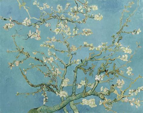 Almond Tree Van Gogh Wallpapers - Top Free Almond Tree Van Gogh Backgrounds - WallpaperAccess