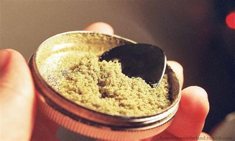 What is Kief? | Cannabis Glossary | Leafly