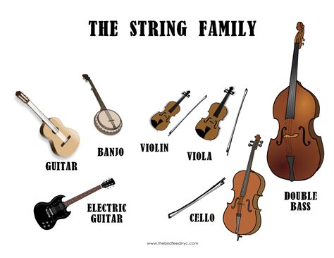 http://thebirdfeednyc.com/wp-content/uploads/2012/08/The-String-Family ...