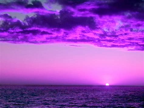 Purple Sunset Photograph by Steed Edwards