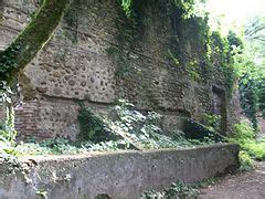 Category:Zugdidi botanical garden - Wikimedia Commons