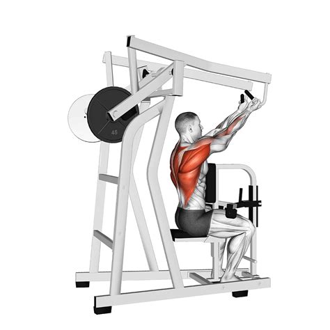 7 Best High Row Machine Alternatives (with Pictures!) - Inspire US