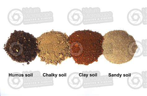 Humus chalky clay sandy soil - Types of soil structure - Types of soil structure - Rocks and ...