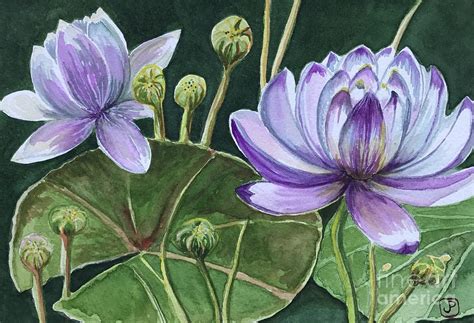 Zen Lotus Flower Painting by Jannett Prusik - Fine Art America