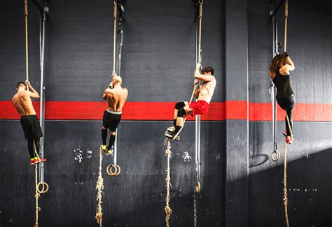 Group Of Athlete Climbing The Rope On A Gym Stock Photo - Download Image Now - iStock