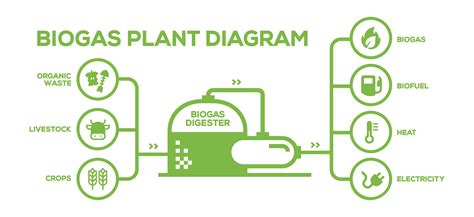 Simple Biogas Plant Diagram. Biogas Production Phases. Illustrated Educational Plan from Farming ...