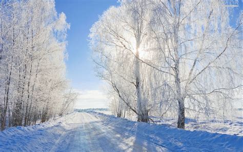 Sunny winter day - White snow on the road