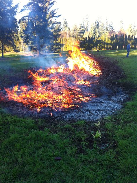 Grass Fire, Not Deemed Suspicious - My Cowichan Valley Now