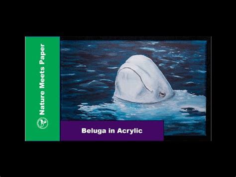 Beluga Whale Painting at PaintingValley.com | Explore collection of ...