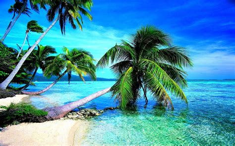 Tropical Beach Screensavers and Wallpaper - WallpaperSafari