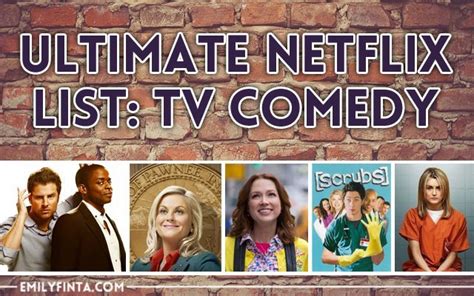 Ultimate Netflix List: TV Comedies/Sitcoms - Emily Finta | Digital Art & Design | Custom Portraits