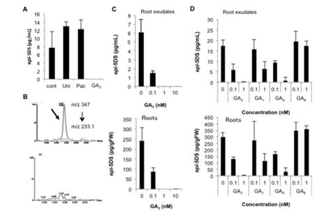 Regulation of strigolactone biosynthesis by gibberellin signaling | Plantae