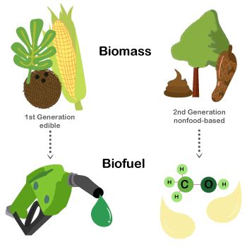 BIOfuel - NEXT.cc