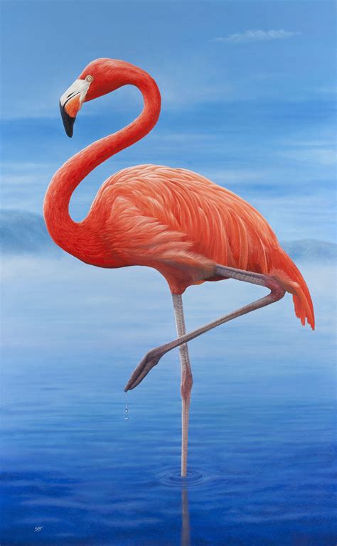 Wallpaper Flamingo, Flamingo Art Print, Flamingo Painting, Bird Art ...